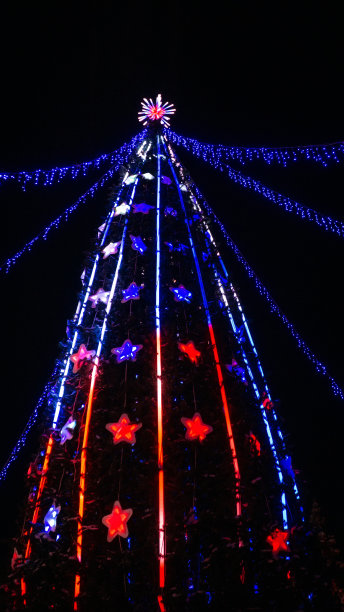 圣诞树与黑色背景在夜间垂直照片图片下载