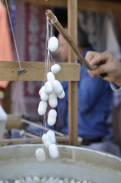 白色的蚕茧壳。图片下载