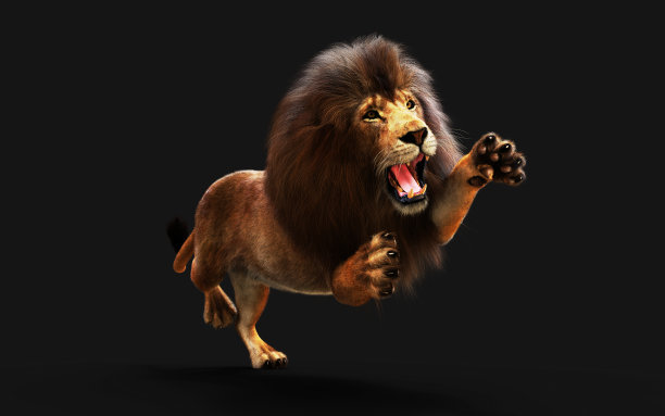 危险金狮的行动与剪切路径隔离图片下载