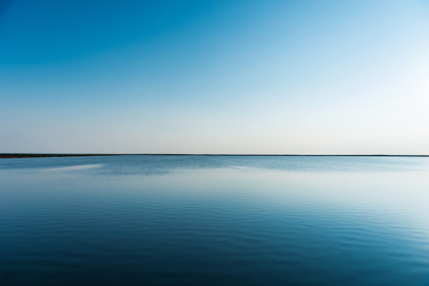 以湖边的阳光为背景。图片下载