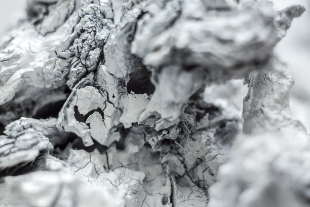 老风化的白色木制垃圾纹理细节图片下载