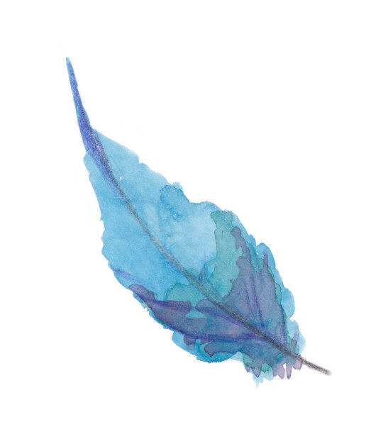 彩色的羽毛图片下载