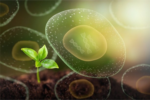 的生活。图片下载