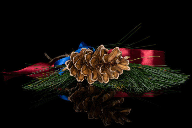 孤立在黑色玻璃上的棕色森林松果图片下载