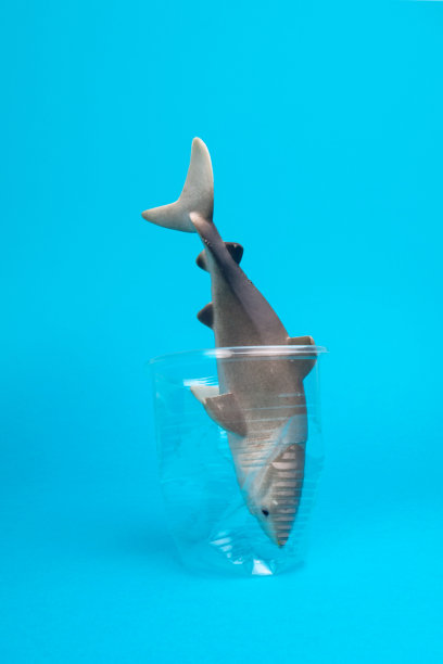 蓝色背景的塑料杯里的玩具鲨鱼。图片下载