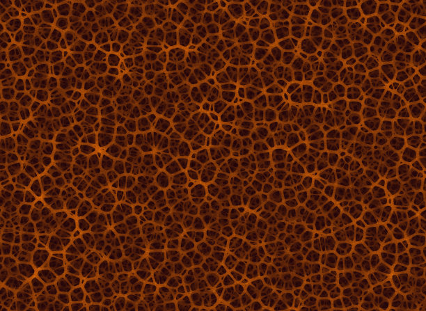 背景来自一个纠结的根系图片下载