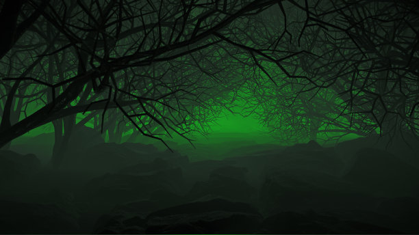 夜森林里的万圣节图片下载