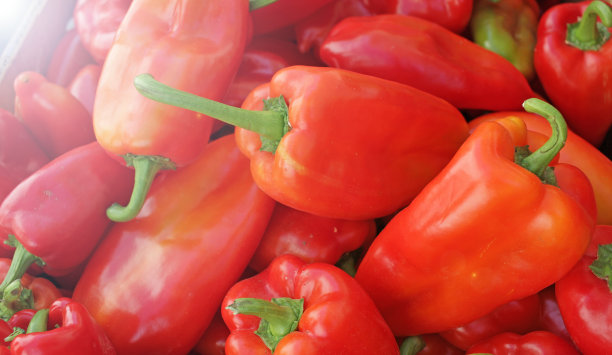 红辣椒。新鲜的有机红辣椒。素食模式。蔬菜的背景。封面图片图片下载