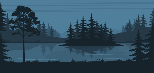 夏夜的森林图片下载