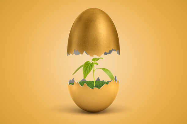 3d渲染金蛋裂成两半，上半部分悬浮在空中，下半部分内绿色小草上生长着小绿芽。图片下载