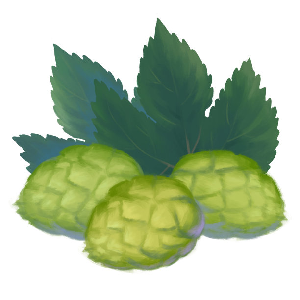 啤酒花图片下载