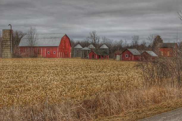 0230 - 阿贝拉二世谷仓图片下载