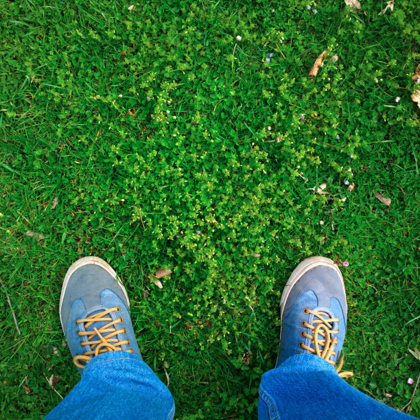 脚踩绿草。图片下载