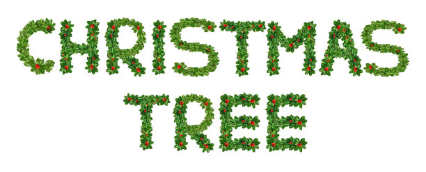 Holly With Berry Letters字母表。冬青叶子和浆果在里面图片下载