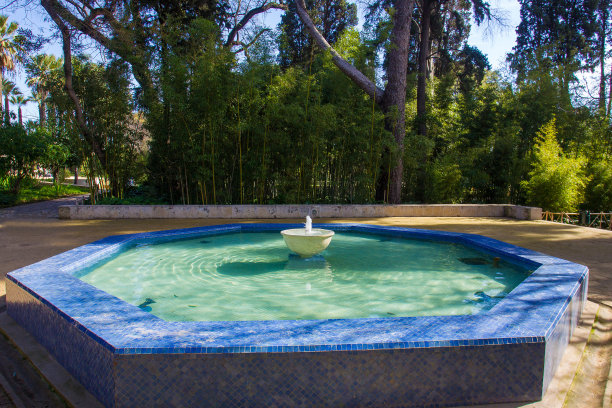 摩洛哥非斯的埃米尔花园。阳光灿烂的日子图片下载