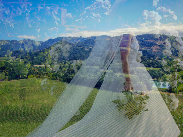 新娘剪影与婚纱在自然景观。图片下载