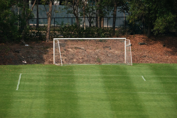 一个绿草如茵的空旷足球场。图片下载