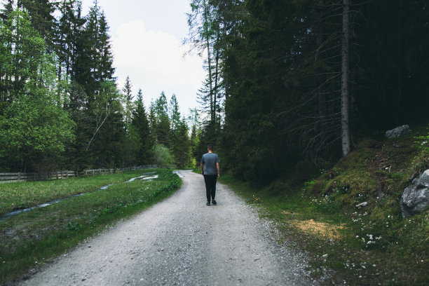一名男子在奥地利蒂罗尔的森林里行走图片下载