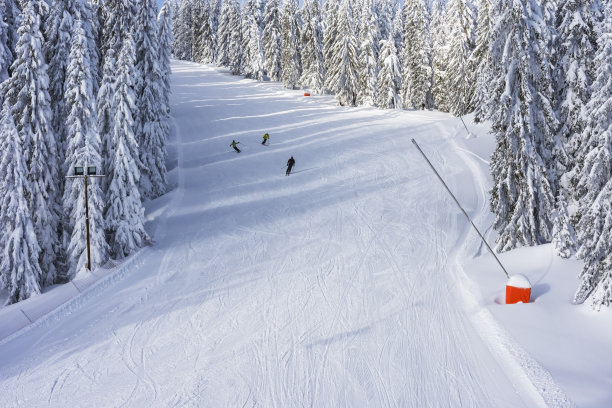 人们在山上白雪皑皑的山坡上滑雪。图片下载