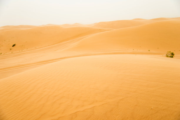 以海浪为背景图片下载