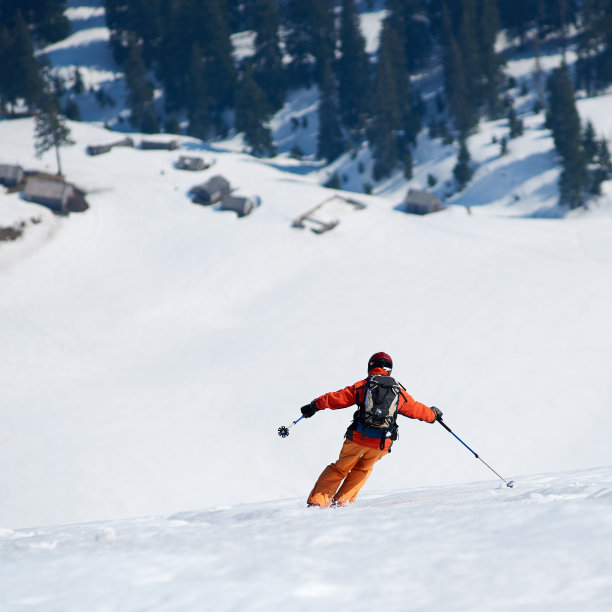 专业滑雪者在白雪皑皑的云杉上滑雪。寒假的概念。图片下载