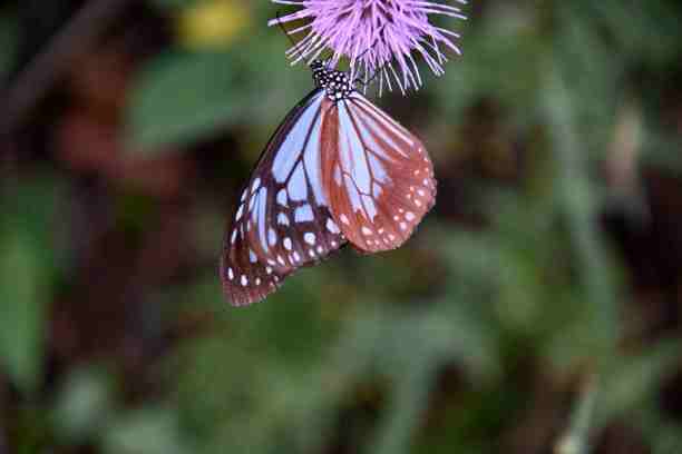 生活的事情图片下载