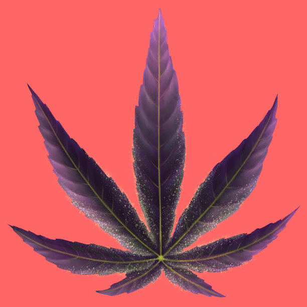 红色背景下的秋叶特写图片下载