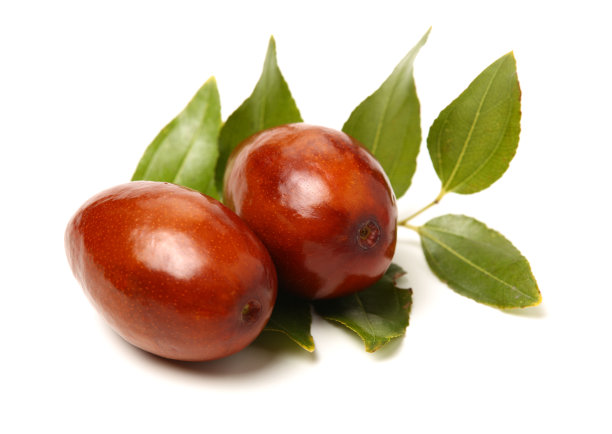 枣子或中国枣图片下载