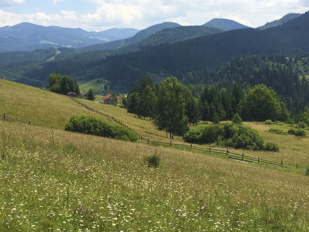 卡帕提是乌克兰风景如画的山区图片下载