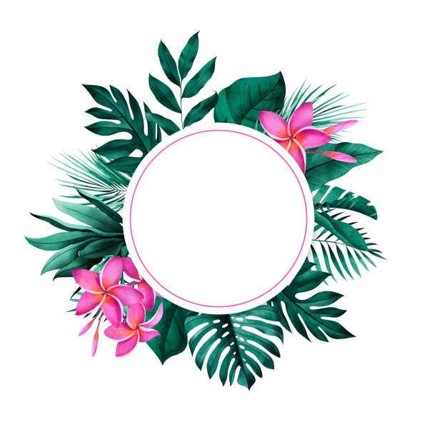 圆形框架与异国情调的怪物，香蕉，棕榈叶和鸡蛋花的背景。热带风格的文具设计。图片下载
