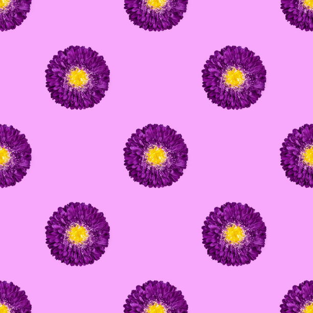 无缝图案与紫色紫菀花在粉红色的背景。花卉图案。热带抽象背景图片下载