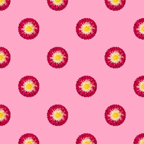 无缝图案与红色紫菀花在粉红色的背景。花卉图案。热带抽象背景图片下载