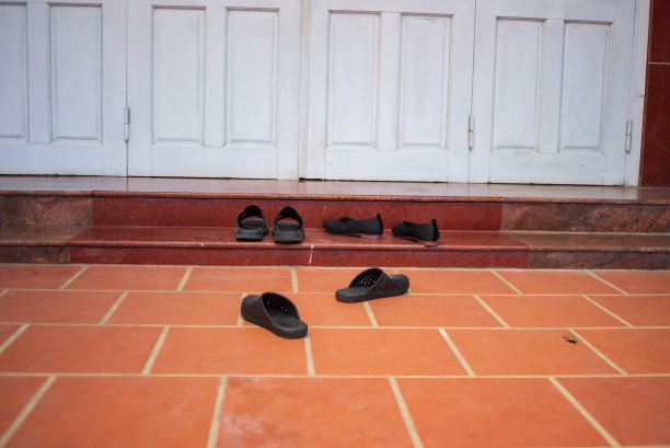 我家院子里的物品、花盆和植物。简单的家庭生活，照片用于广告设计，创意建筑等图片下载