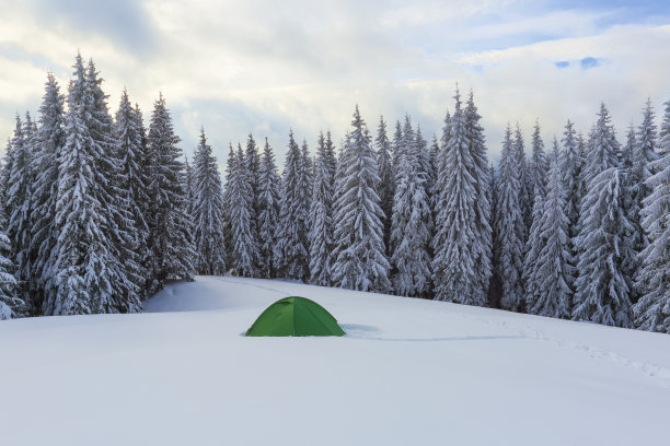 在寒冷的冬日里，绿色的帐篷矗立在白雪覆盖的草坪上。高云杉树。旅游露营休息场所。位置:欧洲乌克兰喀尔巴阡山脉。图片下载