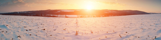 夕阳下白雪下的农田图片下载