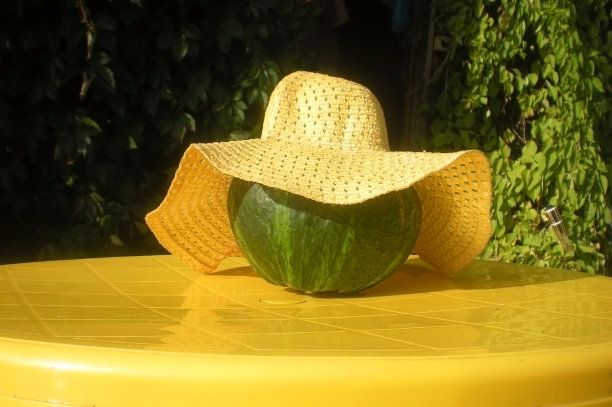 一个戴着亮黄色草帽的绿色南瓜躺在户外的黄色塑料桌子上，这是秋季万圣节节日的主要属性图片下载