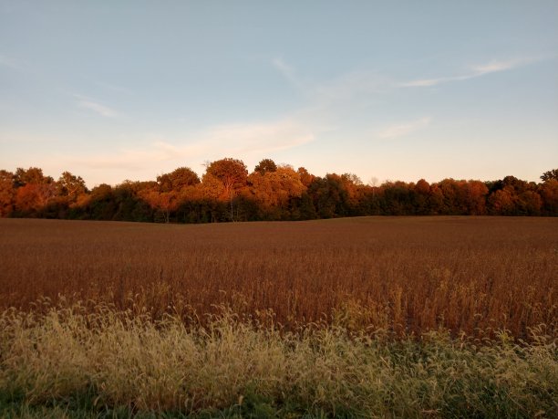 金色的光芒图片下载