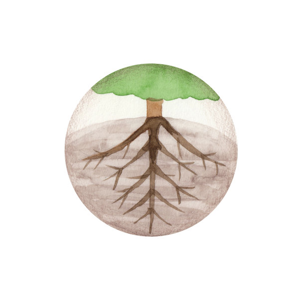 财富四元素地球图片下载