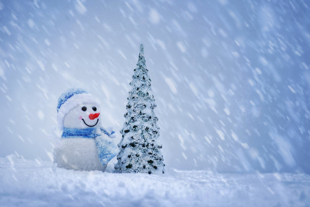 圣诞快乐，新年贺卡。快乐的雪人和圣诞树站在冬天的圣诞景观图片下载