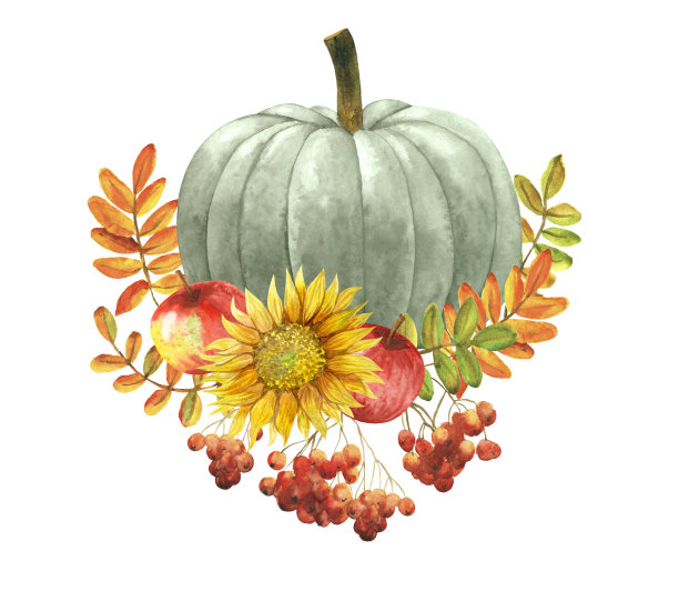 南瓜和向日葵图片下载