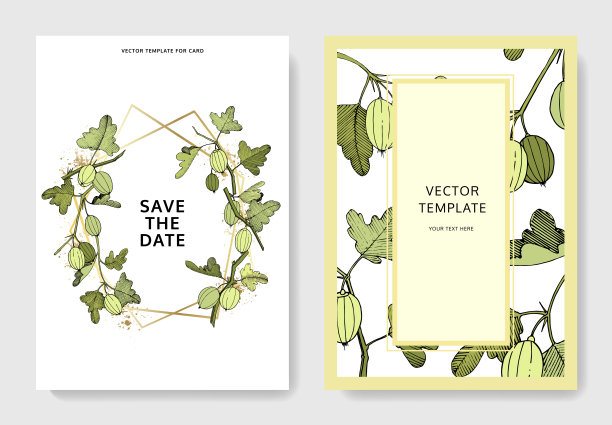 向量醋栗。婚礼背景卡花的边框。谢谢，请回复，邀请图片。艺术雕刻墨水。图片下载