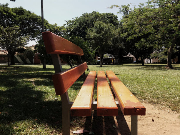 树木繁茂的公园里的木制公园长椅图片下载