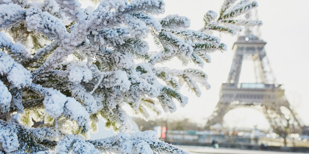 埃菲尔铁塔附近一棵被雪覆盖的圣诞树图片下载