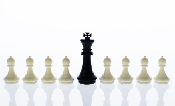 白背景下的黑王和白卒图片下载