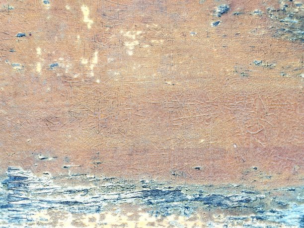 老木的背景图片下载