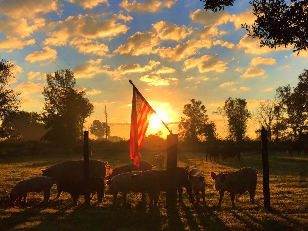 美国落日出图片下载