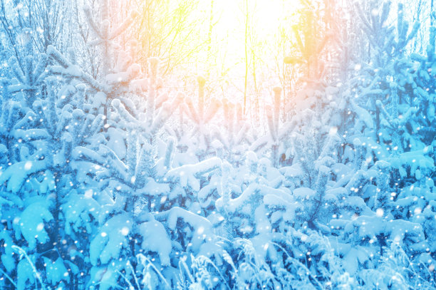 冬天的风景图片下载