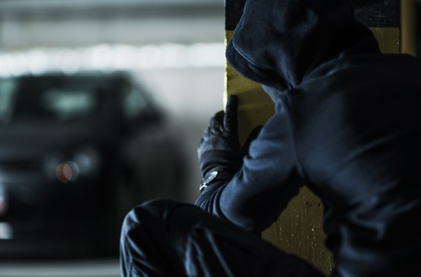 偷车贼采取行动图片下载