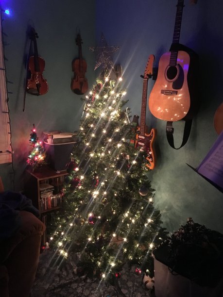 闪闪发光的圣诞灯图片下载