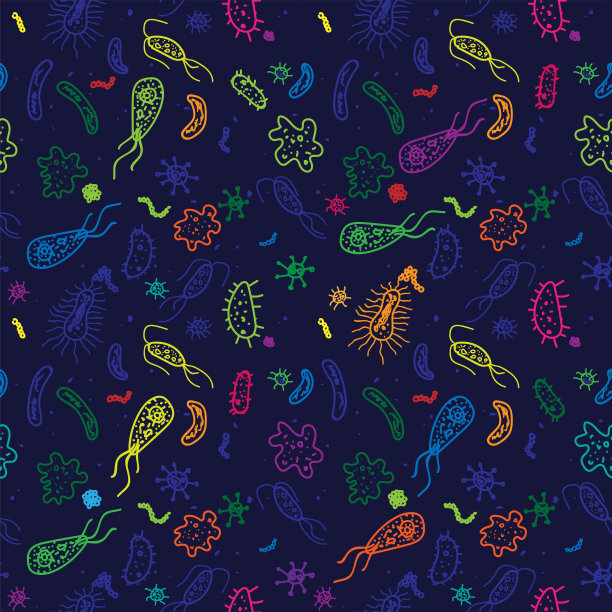 细菌手绘插图图片下载